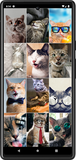 Funny Сats Wallpapers Screen 2