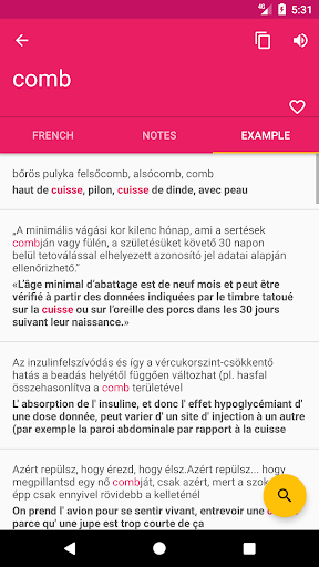 French Hungarian Dictionary Screen 3