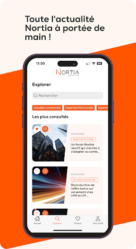 Nortia Screen 2