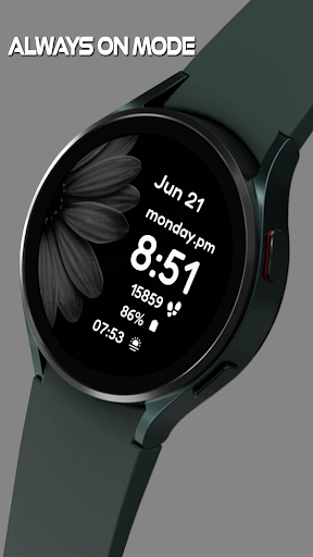 Daisy Vibrant Bloom Watch Face