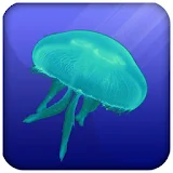 JellyFish Live Wallpaper icon