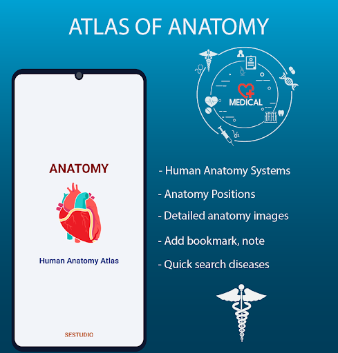Human Anatomy Handbook