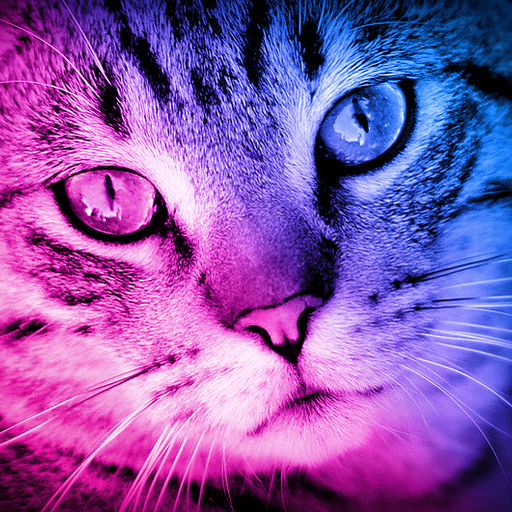 Gatitos Tiernos logo
