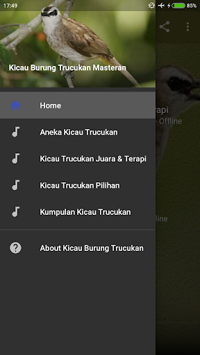 Android application Kicau Burung Trucukan Masteran screenshort