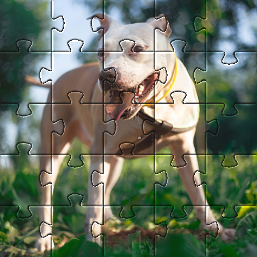Pitbull dogs jigsaw puzzles - Apps on Google Play