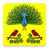 Birds Prime App icon