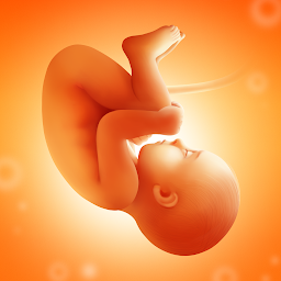 Symbolbild für Schwangerschafts App & Tracker