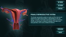 女性の生殖システム生殖3Dモデルのおすすめ画像2