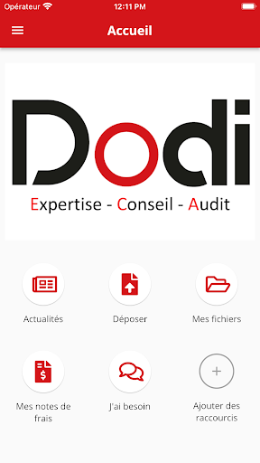 DODI EXPERTISE Screen 2