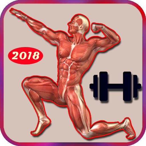Home Workout Program