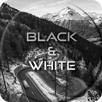 Black and White Wallpapers