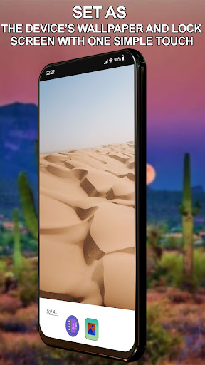 Sonoran Desert Wallpaper