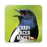 Bird Sound Therapy icon