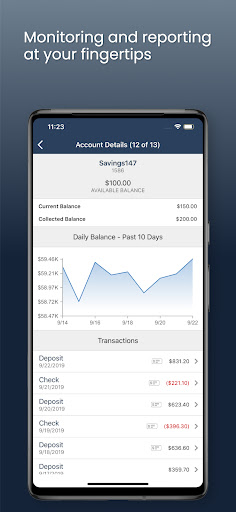 Sonata Treasury Management Screen 3