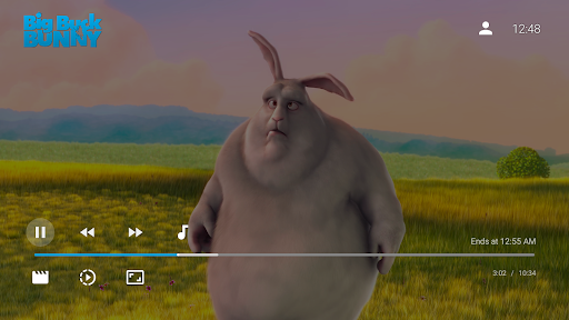 T-Cinema Tv Screen 3
