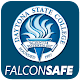 Falcon Safe