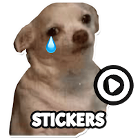Собака Мемы Анимированные наклейки WAStickerApps