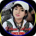 Cover Image of ดาวน์โหลด Dangdut Koplo Jihan Audy full album offline 2021 5.0 APK