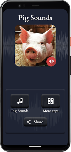 Pig Sounds Screen 2