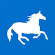 Pony Messenger Download on Windows