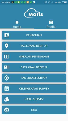 MAFIS Screen 2