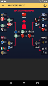 Libertadores Bracket