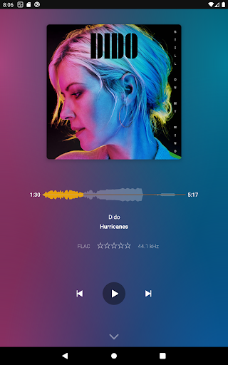 Screenshot of Plexamp