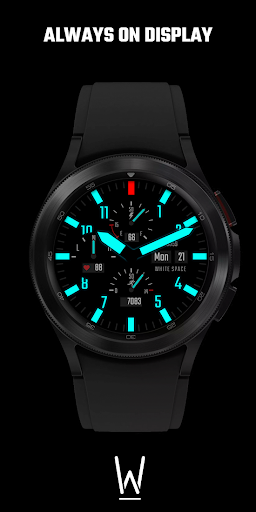 WS059 – Pilots watch Face Screen 3