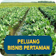 Peluang Bisnis Pertanian Untung विंडोज़ पर डाउनलोड करें