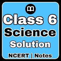 Class 6 Science Notes English