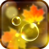 Autumn Bubbles LWP icon