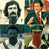 Guess inside cricketer icon