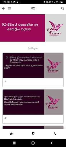 Bio Essay Screen 3