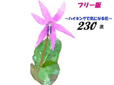 √100以上 紫 野草図鑑 454800