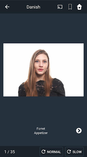Android application Learn Danish. Speak Danish. St screenshort