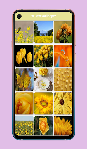walsy (+10000 photo) Screen 3