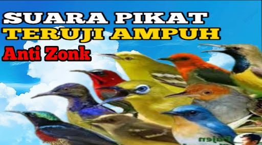 Android application Suara pikat ribut anti zonk screenshort