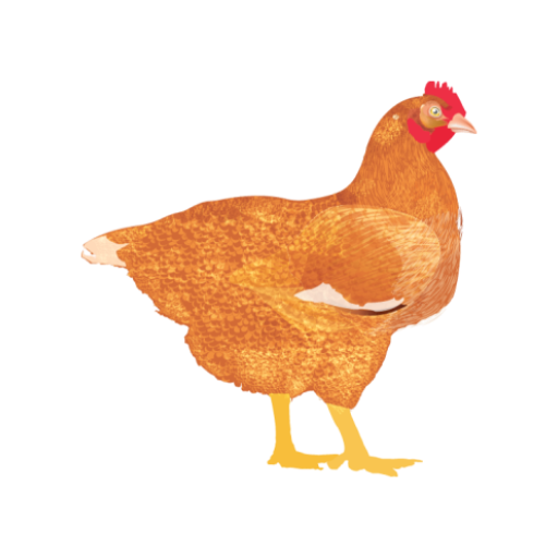 My Poultry Manager - Farm app  Icon