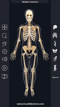 Skeleton Anatomy Pro.のおすすめ画像2