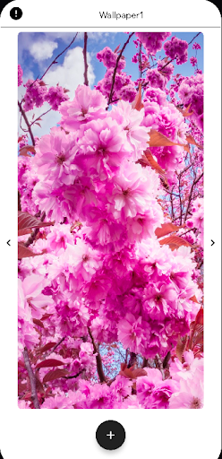 Sakura Wallpapers HD