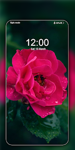 Rose Wallpaper HD Flower Image