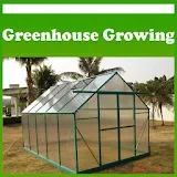 Greenhouse Growing icon
