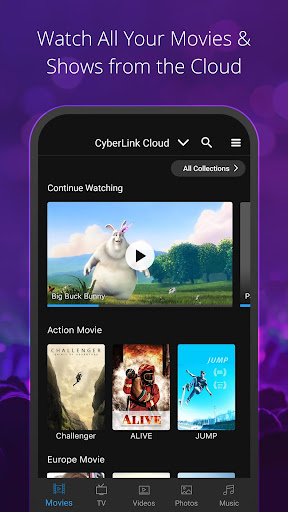 CyberLink PowerPlayer Screen 2