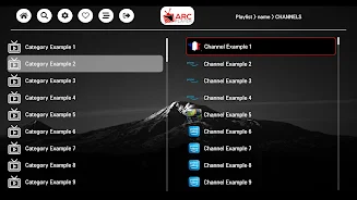 ARC Player screenshot 1