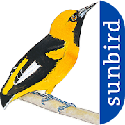 All Birds Ecuador - A Sunbird Field Guide  Icon