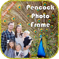 Peacock Photo Frame - Peacock Photo Editor