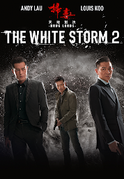 Imagen de icono The White Storm 2: Drug Lords