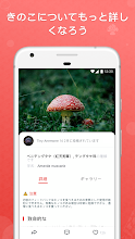 Picture Mushroom 1秒キノコ図鑑 Google Play のアプリ