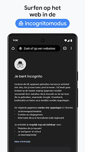Screenshotafbeelding
