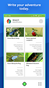 Insect Identifier Apk (Ikhokhiwe) 3